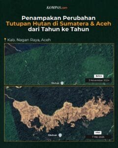 Pernyataan Pembelaan Diri Menteri Kehutanan, Raja Juli Antoni, Mendapat Hujatan Publik