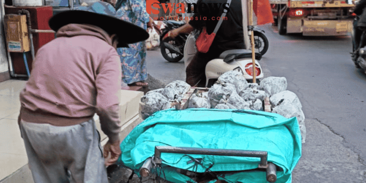 Djamal, Mengais Rezeki dari Daun Pepaya di Usia Senja