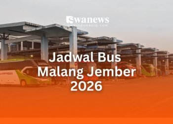 jadwal bus Malang Jember