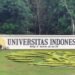 Jurusan Paling Favorit di UI