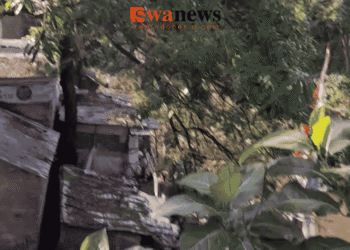 Pasar Senggol Kota Malang, Kisah Sunyi Kenangan Masa Lalu