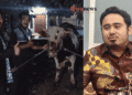 Ahmad Irawan Salurkan Sapi Kurban di Wagir dan Dau, Menjaga Semangat Berkurban Bersama Masyarakat