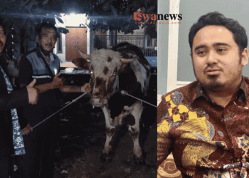 Ahmad Irawan Salurkan Sapi Kurban di Wagir dan Dau, Menjaga Semangat Berkurban Bersama Masyarakat