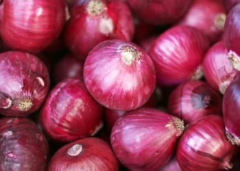 Harga Bawang Merah di Jatim Hari Ini