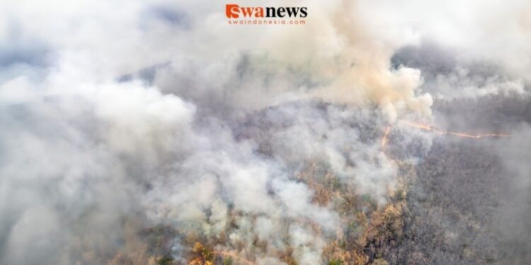 Potensi Karhutla dan Kekeringan, BPBD Kota Batu Siapkan Langkah Antisipasi