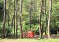 Bumi Perkemahan Bedengan
