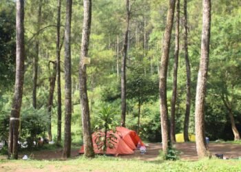 Bumi Perkemahan Bedengan