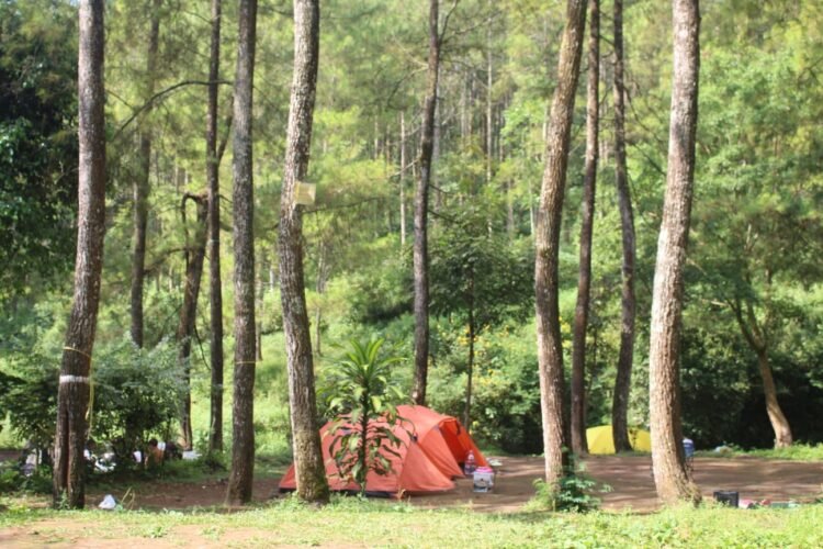 Bumi Perkemahan Bedengan