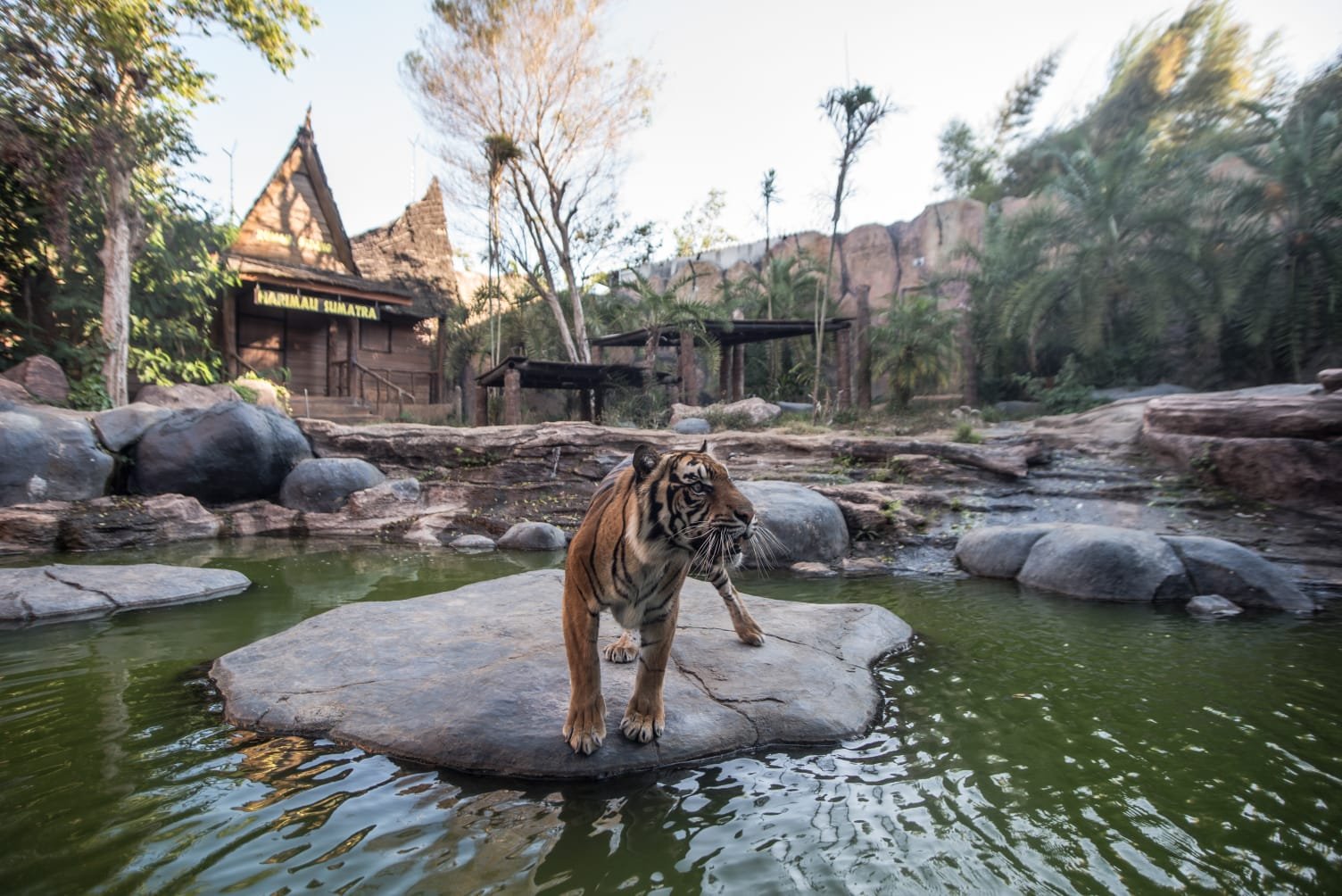 Batu Secret Zoo