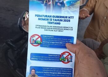 BBM Subsidi di NTT