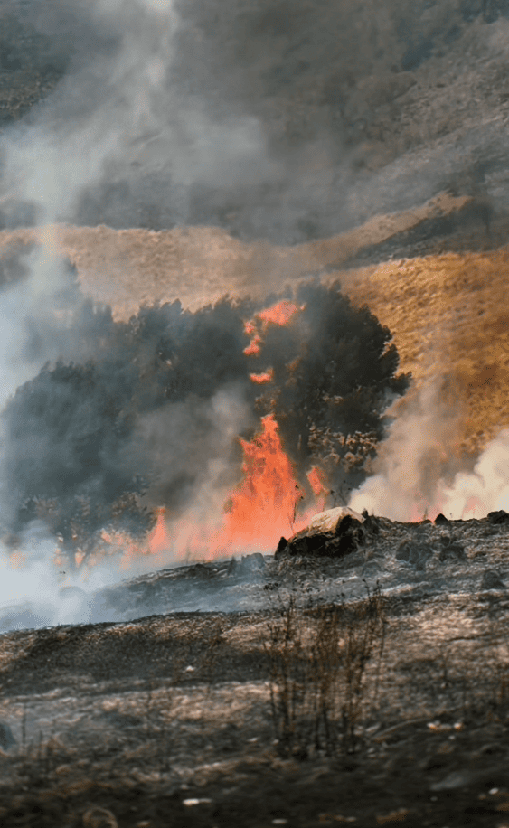 Kebakaran Hutan Bromo