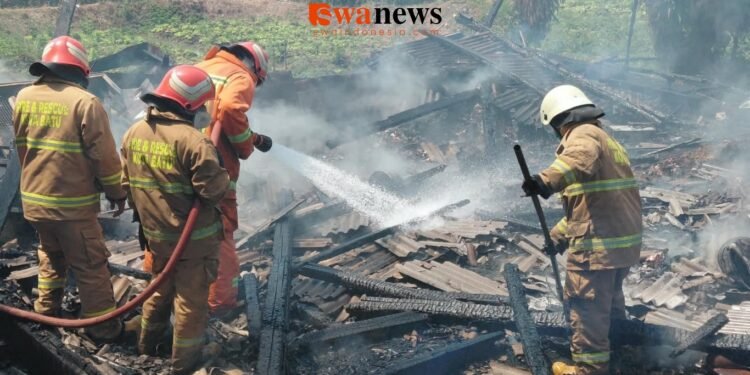 Peternakan Ayam di Jalan Metro Kota Batu Alami Kebakaran Hebat