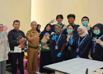 Anjing dan Kucing di Batu