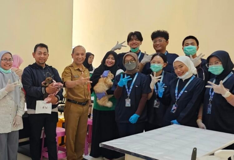 Anjing dan Kucing di Batu