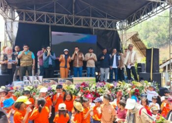 Festival Nyusu Bareng